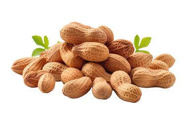 Peanuts in Focus From Farm to Kitchen on White or PNG Transparent Background.