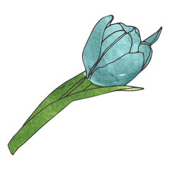 Digital png illustration of blue tulip with green leaves on transparent background