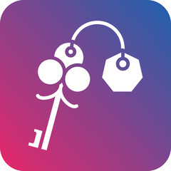 Vector Design Key Icon Style