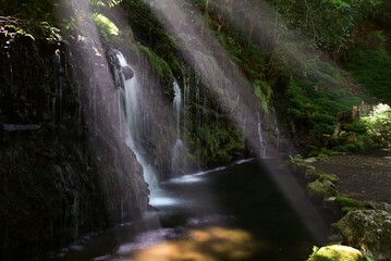 箱根の秘境「千条の滝」