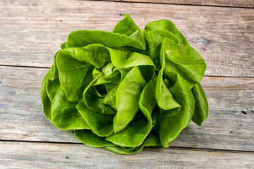 Fototapeta premium Butter lettuce salad green leaves