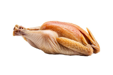 Raw Turkey, an Ingredient for Thanksgiving Cooking isolated on transparent background generative ai
