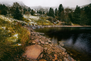  Vosges lake in Alsace, Lac Forlet, Lake near Orbey, Gazon du Faing.