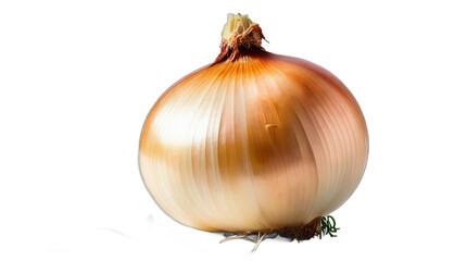 onion transparent, white background, isolate, png