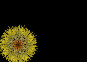 Abstract background created with a graphics program. Resemblance of a flower created using the paint brush tool. on a black background.