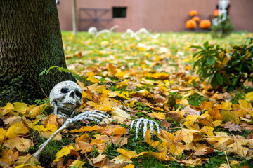 Ein Skelett mit Totenpof Schädel im Gras im Herbst mit Laub