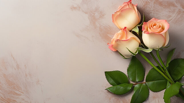 pink rose on paper HD 8K wallpaper Stock Photographic Image 