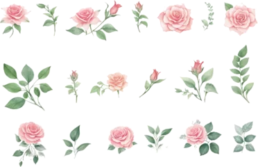 Fotobehang Set of roses flower and leaves in watercolor © Tri Endah Wanito
