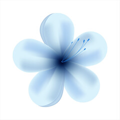 Vector spring blue flowers on white background