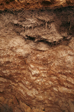 Soil or dirt Cross Section Close-up. Underground earth texture, cross section. Geological Layers.