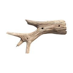 Driftwood isolated on transparent background PNG Generative AI