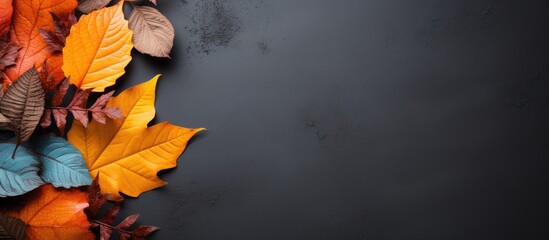 Autumn foliage in various hues on a textured gray backdrop