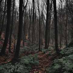Fototapeta premium forest in autumn Generative AI