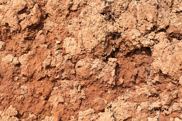 Surface soil,Close up shot.
