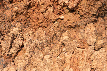 Surface soil,Close up shot.
