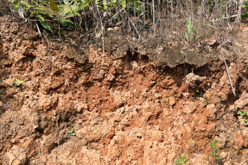 Surface soil,Close up shot.