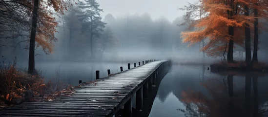 Papier Peint photo autocollant Route en forêt During autumn in a forest a bridge made of wooden planks gracefully stretches over a tranquil body of water showcasing a subdued palette of grey hues