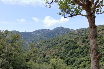 mountainous hiking area around cardedu in sardinia