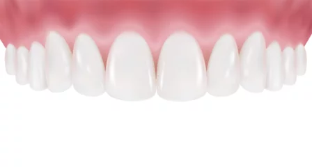 Fotobehang Upper row of teeth and gums are arranged in a clean, white curve. Healthy teeth and perfectly clean gums. Realistic vector illustration Isolated on white background. © Vectorman2017