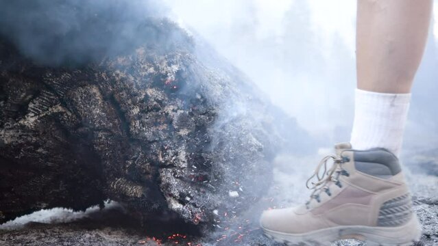Close up view of trunk of coniferous tree, smoldering and smoking, lying on the thick layer of ahes, while foot in mountain boot breaking off a piece of it. High quality 4k footage