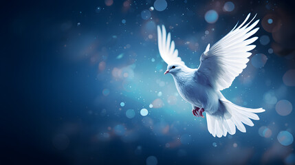 International peace day beautiful pigeon background 