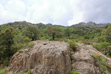 Mountain landscape In the south of Corsica on the way to Porto-Vecchio, France