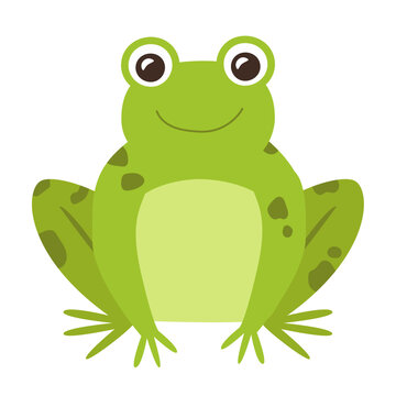 Funny green toad. flat cartoon style. vector design