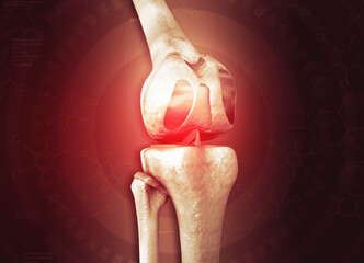 Human knee joint anatomy. 3d illustration.. - obrazy, fototapety, plakaty