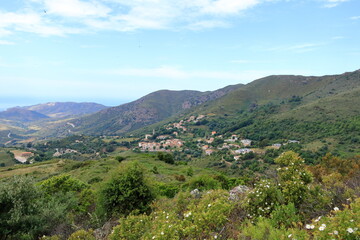 Fototapeta premium Appietto, Corse, Corsica, France - aerial view over a small village