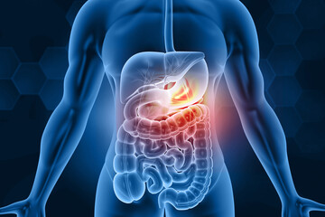 Human stomach pain. digestive problems. 3d illustration.. - obrazy, fototapety, plakaty