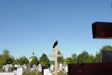 A raven sits on a cross, in a cemetery in the distance there is a church against the sky