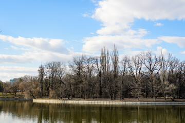 Obraz premium Landscape with large old trees near Herastrau lake in King Michael I Park (Herastrau) in Bucharest, Romania, in a sunny winter day
