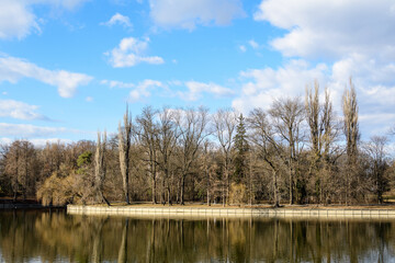 Landscape with large old trees near Herastrau lake in King Michael I Park (Herastrau) in Bucharest, Romania, in a sunny winter day
