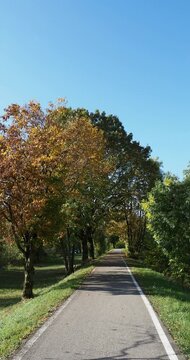 Der Weg ges&auml;umt von herbstlich gef&auml;rbten B&auml;umen am Ufer entlang der Wiese (Fluss) und Wiesentalstrasse zwischen L&ouml;rrach, Dammstrasse und Zollfreie Strasse nach Schweiz
