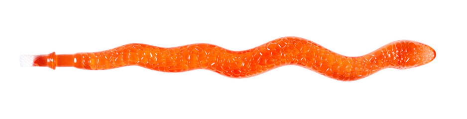 jelly candy snake isolated on white © Oleksii