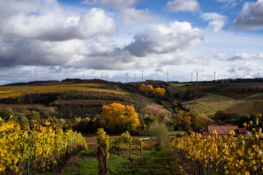 Hiwweltour Aulheimer Tal, Flonheim, Rheinhessen Herbst 2023