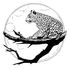 Naklejka premium Africa Leopard Sits On Tree Branch, Coloring Pages Png