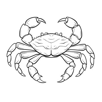 Cartoon Crab Underwater World , Coloring Pages Png