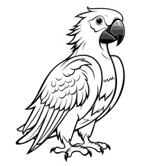 Fototapeta premium Cute Cartoon Macaw Parrot, Coloring Pages Png