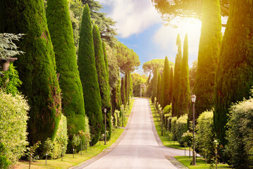 Park in Italy, landscape design of papal garden - obrazy, fototapety, plakaty