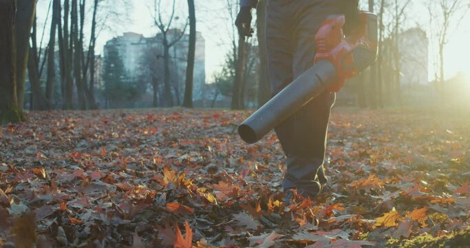 Close up of gardener in overalls and gloves using modern leaf blower while cleaning autumn city park. Caucasian worker taking care of urban landscape. 