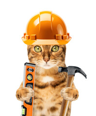 Funny cat in a construction helmet on a transparent background.