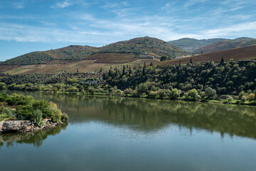 Entre montes e montanhas e algumas vinhas e muito arvoredo, o rio Douro em Foz Tua, Trás os Montes...
