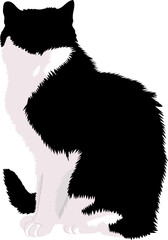 Cat silhouette. Image of a cat. Vector illustration.
