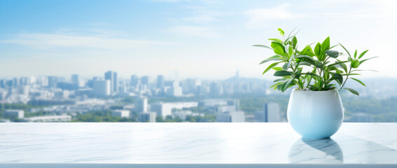 a plant in a pot stands on an internal windowsill overlooking the morning city. - obrazy, fototapety, plakaty