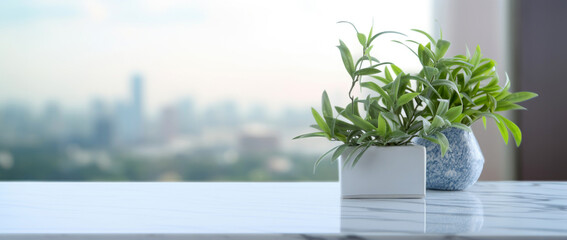 a plant in a pot stands on an internal windowsill overlooking the morning city.