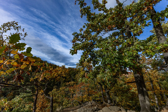 Autumn walk in the park next to Ksiaz Castle, tourist attractions of Silesia © macherstudio.pl
