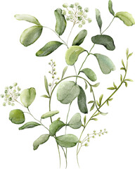 Watercolor Bouquets of Leaves Elements