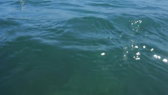Camera on sea's surface submerges, then rises: embodying a call for help.