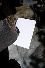 Mockup of a sheet with shadows from tree branches on rocks